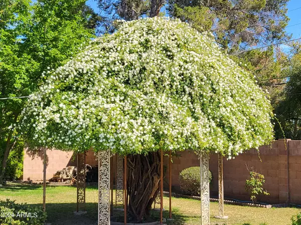 3727 E Camelback Road, Phoenix, AZ 85018