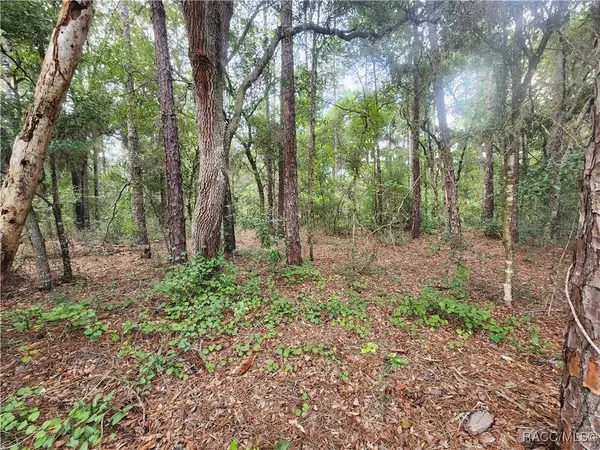 199 E Cory LN, Dunnellon, FL 34434