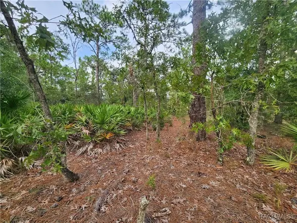 7018 N Foxdale DR, Citrus Springs, FL 34434