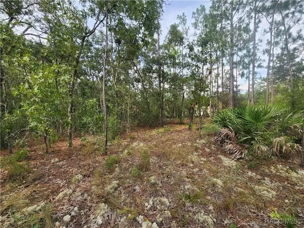 7018 N Foxdale DR, Citrus Springs, FL 34434