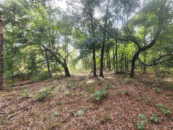 11001 N Harriet WAY, Citrus Springs, FL 34434