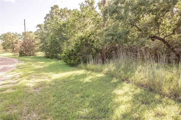 103 Fox Hollow CIR, Somerville, TX 77879