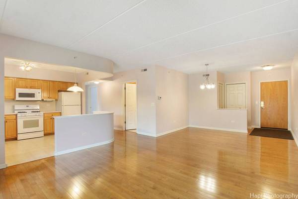 124 W Colfax ST #209, Palatine, IL 60067