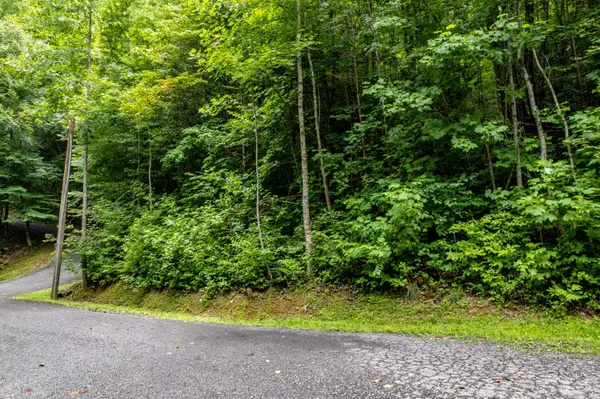 Lot 48 Riversong WAY, Sevierville, TN 37876