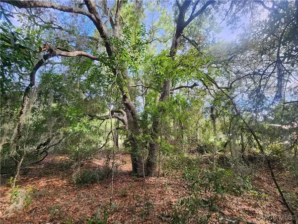 11001 N Harriet WAY, Citrus Springs, FL 34434