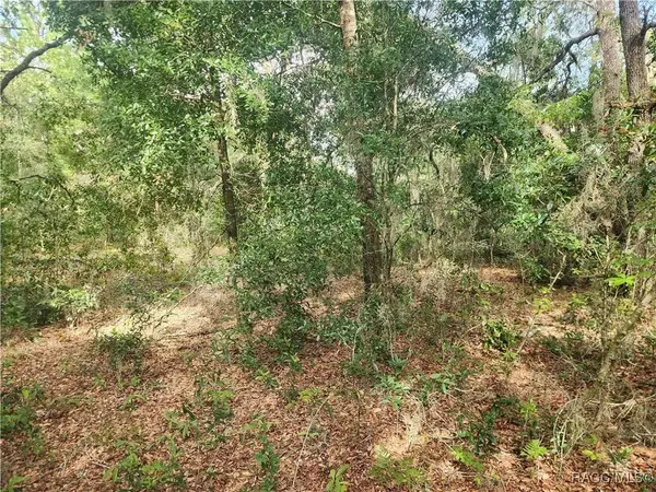 11001 N Harriet WAY, Citrus Springs, FL 34434