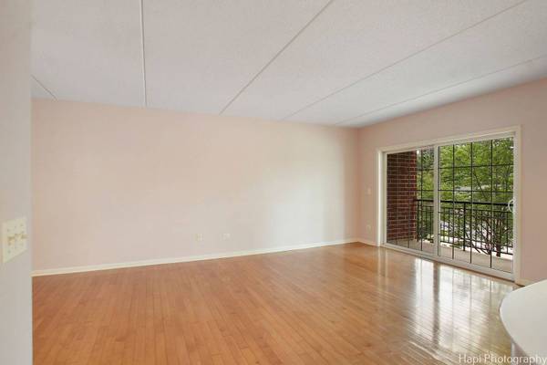 124 W Colfax ST #209, Palatine, IL 60067