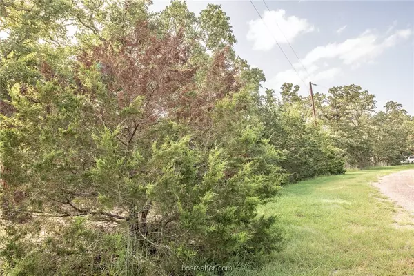 103 Fox Hollow CIR, Somerville, TX 77879