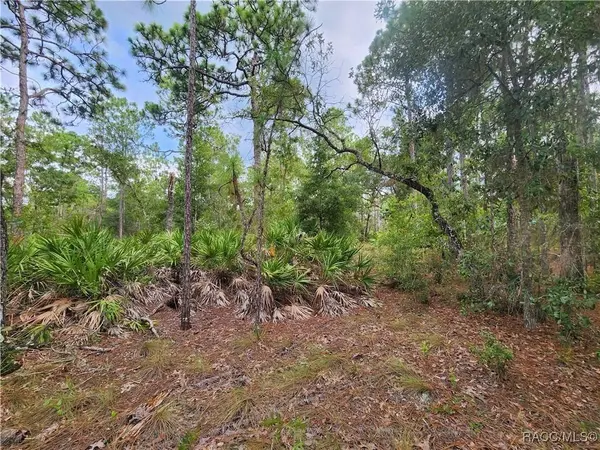 7018 N Foxdale DR, Citrus Springs, FL 34434