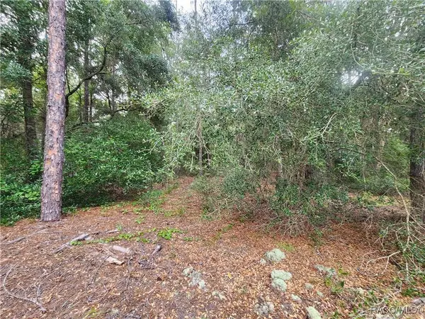 199 E Cory LN, Dunnellon, FL 34434