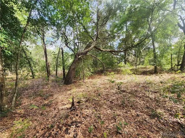 11001 N Harriet WAY, Citrus Springs, FL 34434