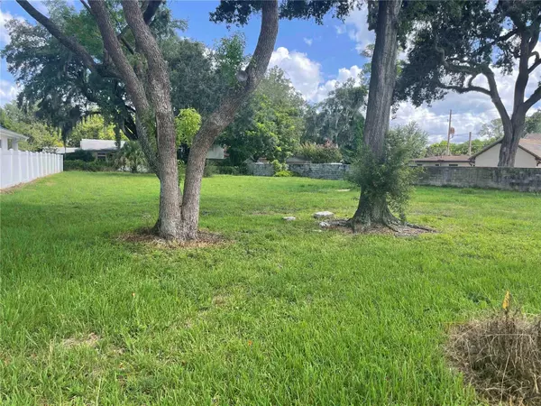 1007 VENETIAN AVE, Orlando, FL 32804