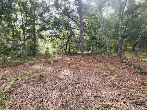 11001 N Harriet WAY, Citrus Springs, FL 34434