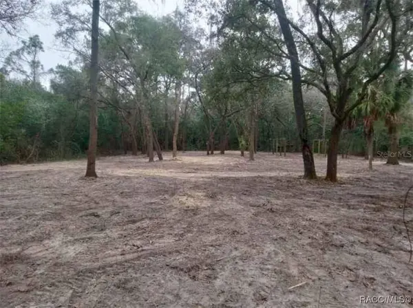 7451 & 7471 NW 167th PL, Trenton, FL 32693