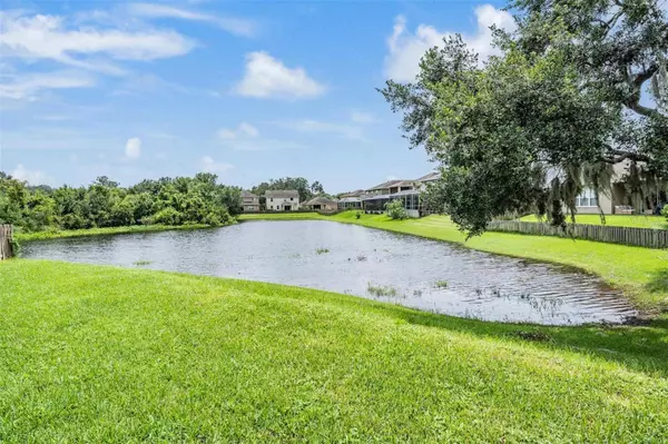 11509 DUTCH IRIS DR, Riverview, FL 33578