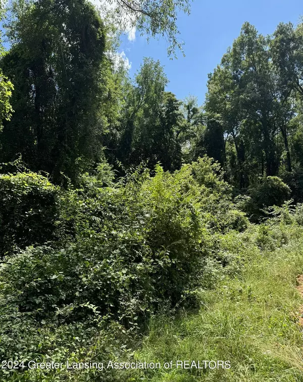 28280 N D Drive, Albion, MI 49224, Albion, MI 49224