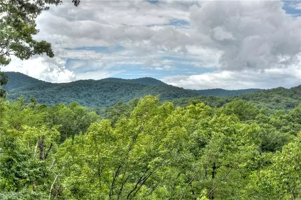 434 Martin, Cherry Log, GA 30522