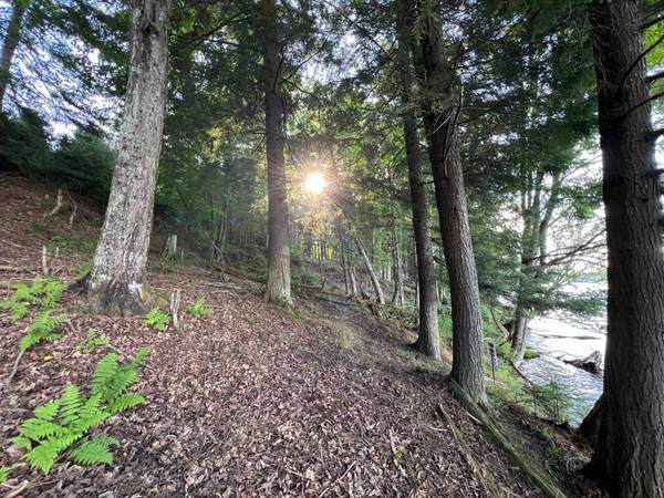 19920 THOUSAND ISLAND LAKE RD, Watersmeet, MI 49969