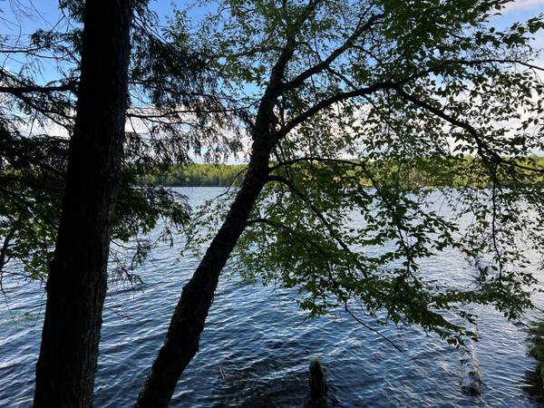 19920 THOUSAND ISLAND LAKE RD, Watersmeet, MI 49969