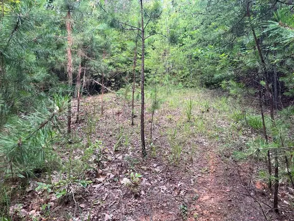 Lot 72 Foxtrot Lane, Murphy, NC 28906