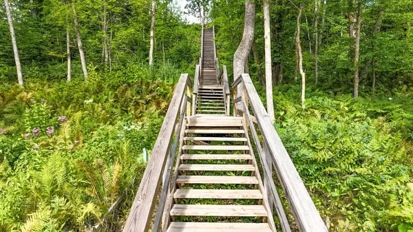 6525 Bloodroot LN NE, Crooked Lake Twp, MN 56662