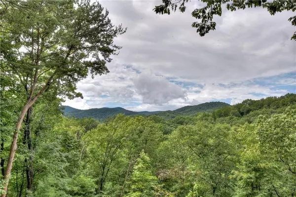 434 Martin, Cherry Log, GA 30522