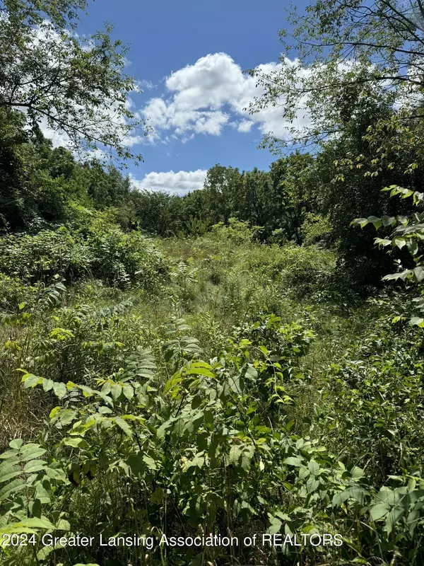 28280 N D Drive, Albion, MI 49224, Albion, MI 49224