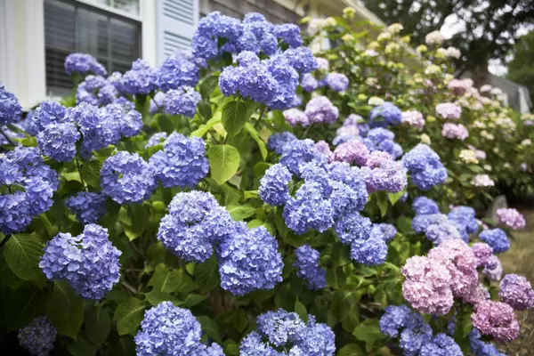 21 Robert Arthur Way, South Dennis, MA 02660