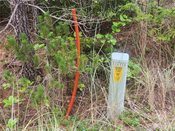 0 Sand LN, Ocean Park, WA 98641