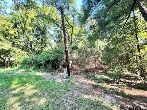 10290 LA Mobile Ave, Tyler, TX 75707