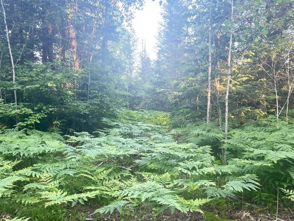 Lt 5 off RIVER HILL RD, Conover, WI 54519