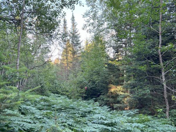 Lt 5 off RIVER HILL RD, Conover, WI 54519