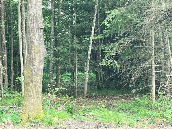 Lt 5 off RIVER HILL RD, Conover, WI 54519