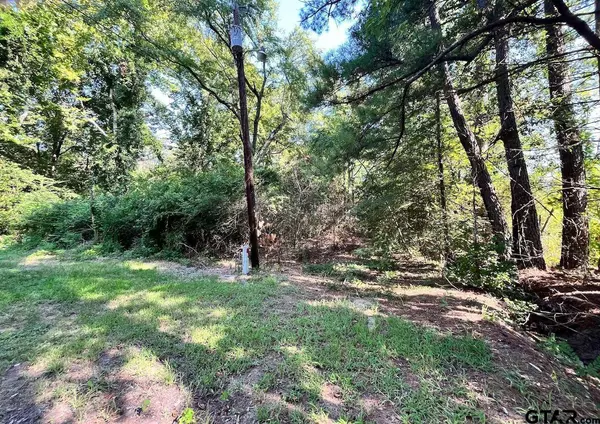 10290 LA Mobile Ave, Tyler, TX 75707