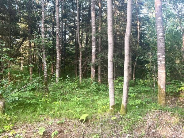 Lt 5 off RIVER HILL RD, Conover, WI 54519