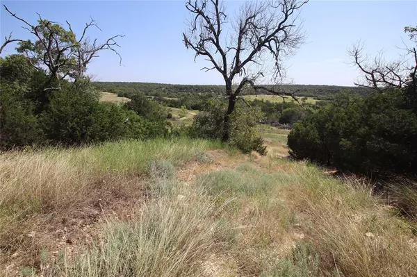 TBD FM 2414 - Tract 4, Evant, TX 76526