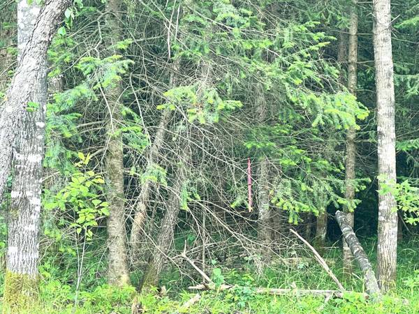 Lt 5 off RIVER HILL RD, Conover, WI 54519