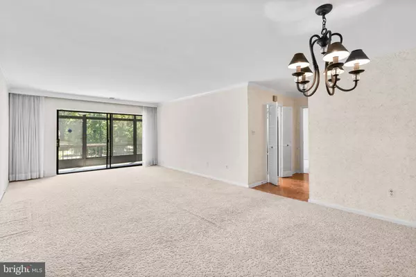 6300 RED CEDAR PL #310, Baltimore, MD 21209