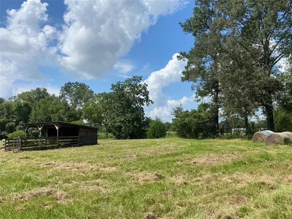 330 County Road 2850, Cleveland, TX 77327