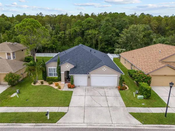 16334 NIKKI LN, Odessa, FL 33556