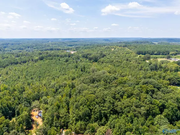 Lot 4 Curry Chapel Road, Somerville, AL 35670