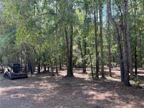 NE 46TH CIR, High Springs, FL 32643