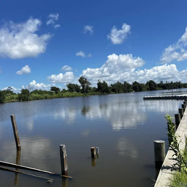 2035 HWY 55 (BATTURE), Montegut, LA 70377