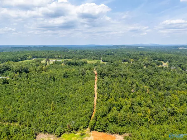 Lot 4 Curry Chapel Road, Somerville, AL 35670