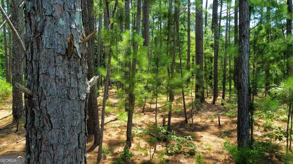 0 Mountain View CIR, Woodbury, GA 30293