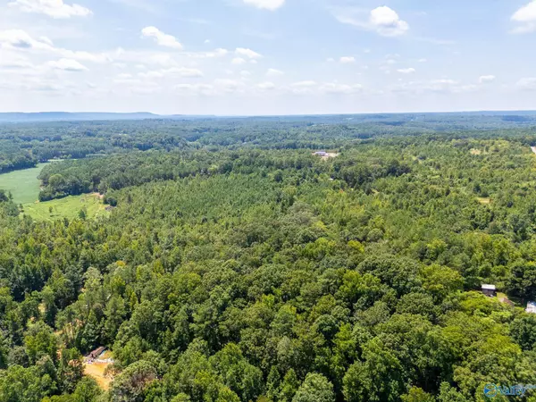 Lot 4 Curry Chapel Road, Somerville, AL 35670
