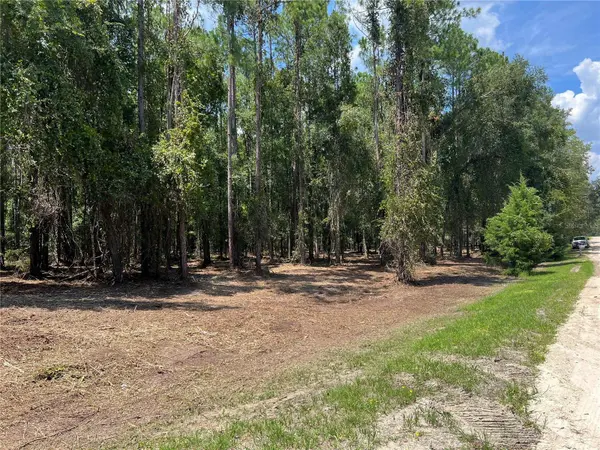 NE 46TH CIR, High Springs, FL 32643