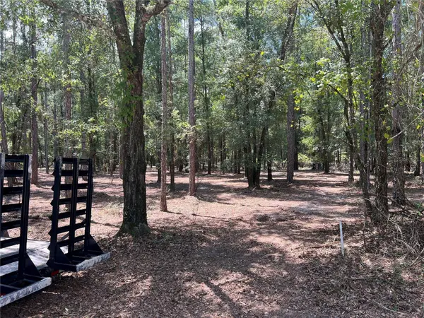 NE 46TH CIR, High Springs, FL 32643