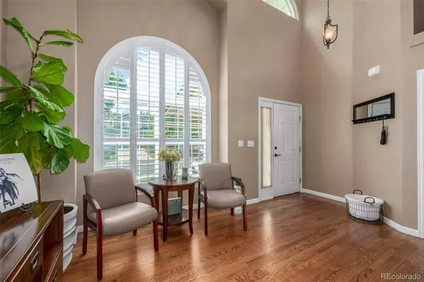 1506 Chadderton CT, Colorado Springs, CO 80907