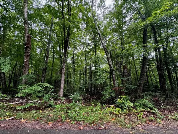 Lot 3 Scheers Road, Hayward, WI 54843